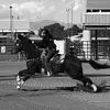 kayla.and.dodge - @kayla.and.dodge - TikTok