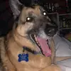 Kayla Dorman - @user23795001 - TikTok