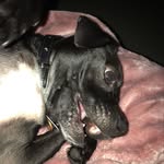 Kayla Dorman - @dorman9381 - Instagram