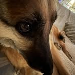 Kayla Dorman - Facebook