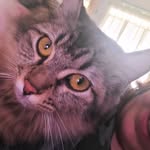 Kayla Eubanks - @kayla.eubanks.712 - Instagram