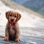 Kayla Gerber - @pbkayla - Instagram