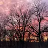 kaylagilman55 - @kaylagilman55 - TikTok