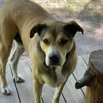 Kyle Goldfarb - Facebook