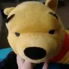 I LOVE CATS!!!!!!$! - @kaylagrim5 - TikTok