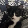 kayla - @kaylahamm9 - TikTok