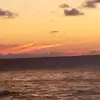 Kayla Headley - @kla9051 - TikTok