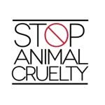 Kayla Jaffe - @st0p_animalabuse_ - Instagram