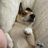 Kayla Koehler - @kayla_koehler_ - TikTok