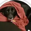 kayla’s backup - @kaylalaffertysbackup - TikTok