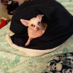 Kayla Layman - Facebook