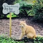 Kayla Lowman - @__adventurecat__ - Instagram