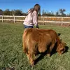 makayla🩷 - @kayla.lusk1 - TikTok
