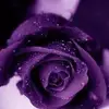 Kayla Mace - @kayla.mace7 - TikTok
