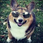 Kayla Mears - @jagman2122 - Instagram
