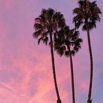 kayla♥ - @_kayla.munn_ - Instagram