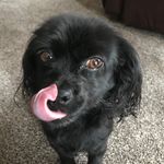 Kayla Murdock - @kaylamurdock9383 - Instagram