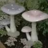 kaylaolvera278 - @kaylaolvera278 - TikTok