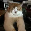 Kayla Orr - @kayla.orr7 - TikTok