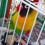 Kayla Palma - @luli_amopets - Instagram