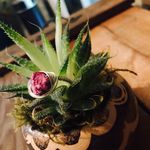 Kayla Pleasant - @divinespiritco - Instagram