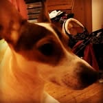 kayla power nolan - @kaylapowernolan - Instagram