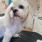 Kayla Prather - @prather0325 - Instagram