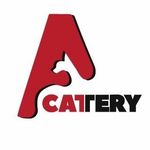 Royal Kayla Cattery - @royal_kayla_cattery - Instagram