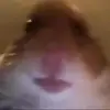 Kayla - @kaylarutherford_ - TikTok