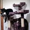 Kayla Rutherford - @kayla.rutherford_ - TikTok