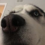 kayla (sass) - @sassyturtle23 - Instagram