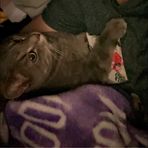Kyla Sass - Facebook