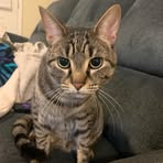 Kayla Schram - Facebook
