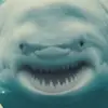 KaylaSeabolt - @kaylaseabutt - TikTok