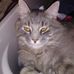 Kayla Shultz - Facebook