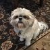 Kayla Sigler - Facebook