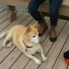 Kayla__Slade - @kayla__slade - TikTok