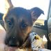 Caley Zmorowski - Facebook