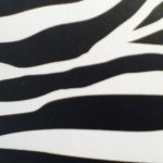 Kayla Renee Spaulding - @kayleecoon12345 - Instagram