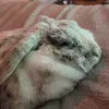 Kayla Steinbacher - @kayla__steinbacher - TikTok