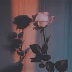 Kaylaine - @kaylainesteinbach - Instagram
