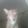 kaylasteinbacher - @kaylasteinbacher - TikTok