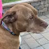 kaylasteppe - @kaylasteppe - TikTok