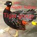 Islamabad Kala Teetar Tiger group - Facebook