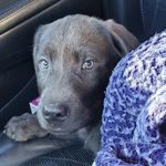Kayla Traver - @captainnash.charcoallab - Instagram