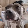 tysonkayla4 - @tysonkayla4 - TikTok