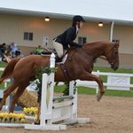 Kayla Wallner 🤍 - @k.g.w_equestrian - Instagram