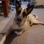 Kayla Wester - @kaylabear_2020 - Instagram