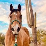 Kayla Westfall Photography - @kaylawestfall.photography - Instagram
