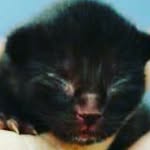 kayleebeavers - @kayleebeavers2004 - Instagram
